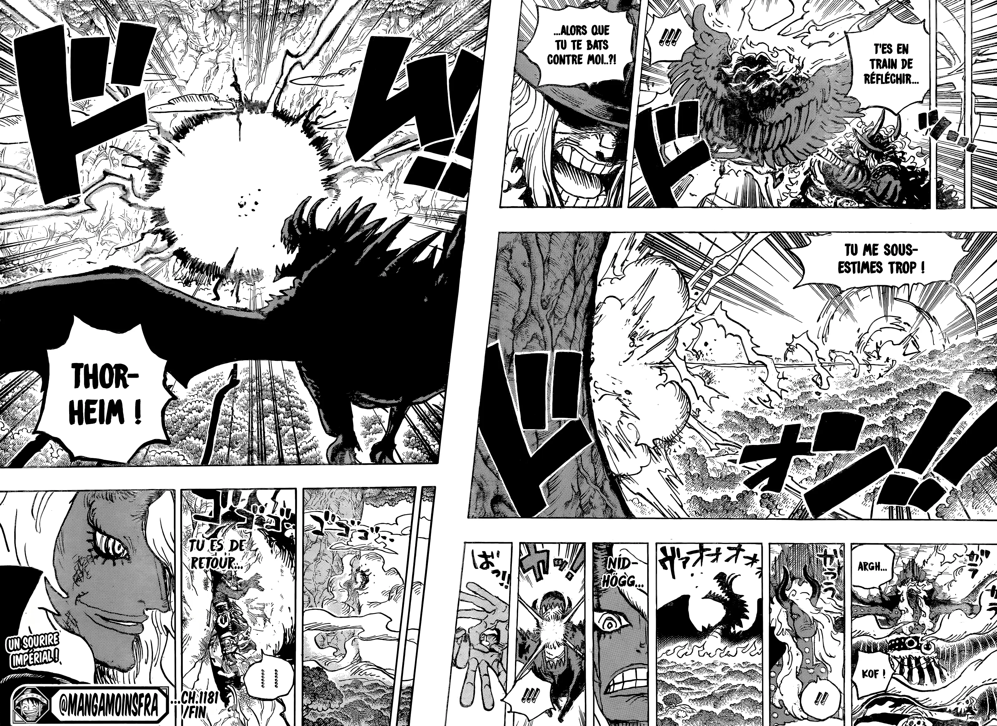       One   Piece 1181 Page 13